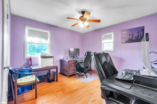 office area featuring ceiling fan and light hardwood / wood-style flooring