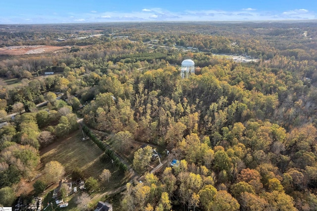 bird's eye view