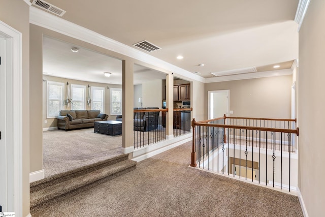 hallway with ornamental molding and carpet