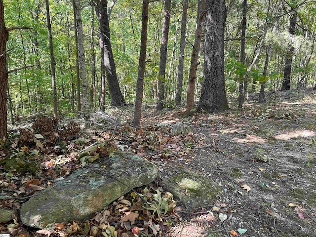 Listing photo 3 for 35 Moonshine Falls Trl, Landrum SC 29356