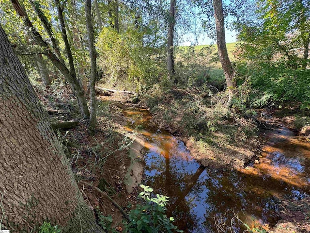 view of landscape with a water view