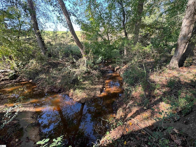 view of nature featuring a water view