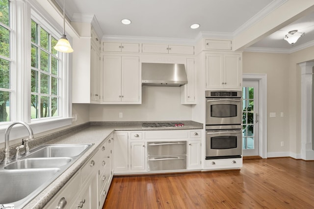 kitchen with stainless steel appliances, hardwood / wood-style floors, sink, and exhaust hood