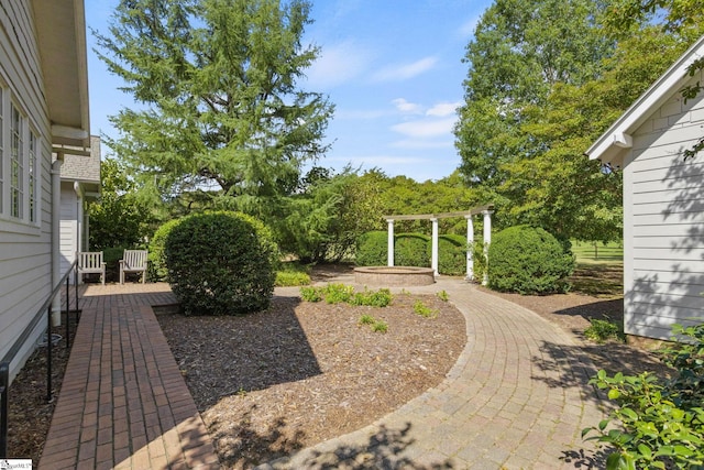 view of yard with a patio