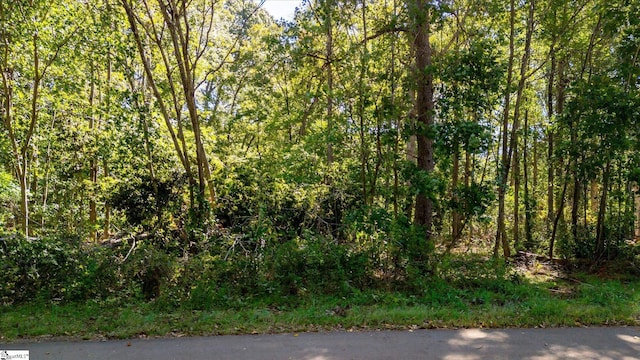 00 Aragon St, Piedmont SC, 29673 land for sale