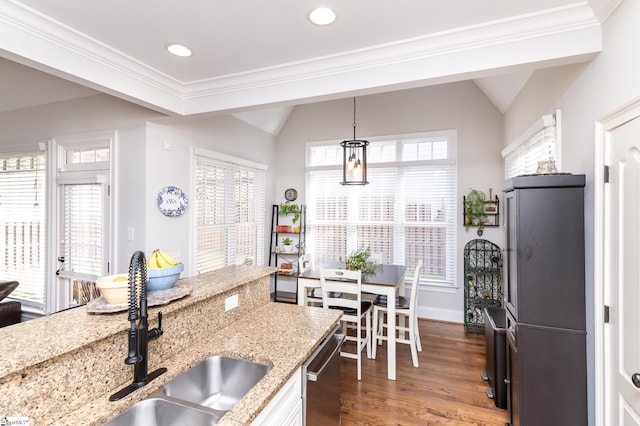 kitchen with vaulted ceiling, hanging light fixtures, stainless steel appliances, and dark hardwood / wood-style flooring