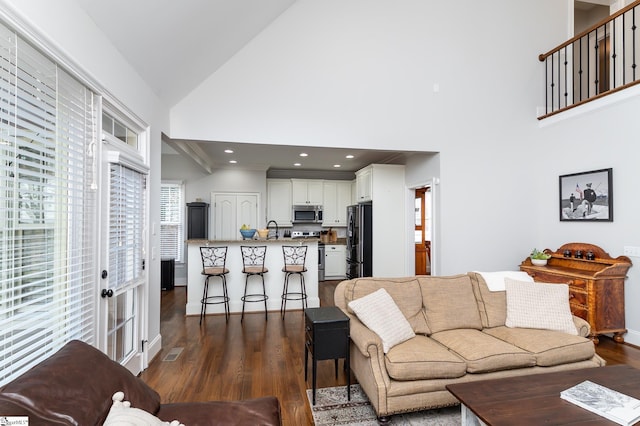 living room with sink, high vaulted ceiling, and dark hardwood / wood-style flooring