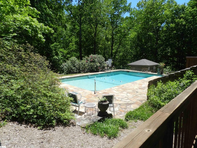 view of pool featuring a patio