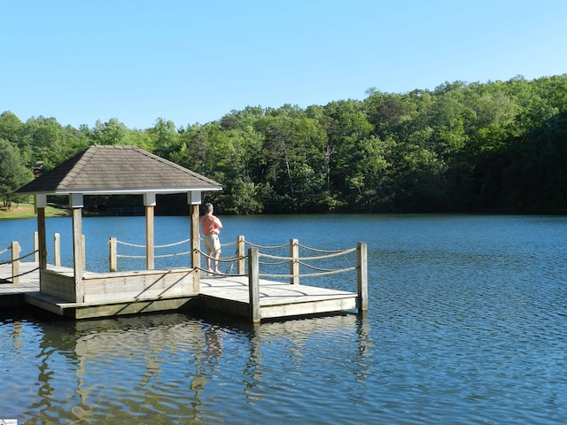 dock area featuring a water view