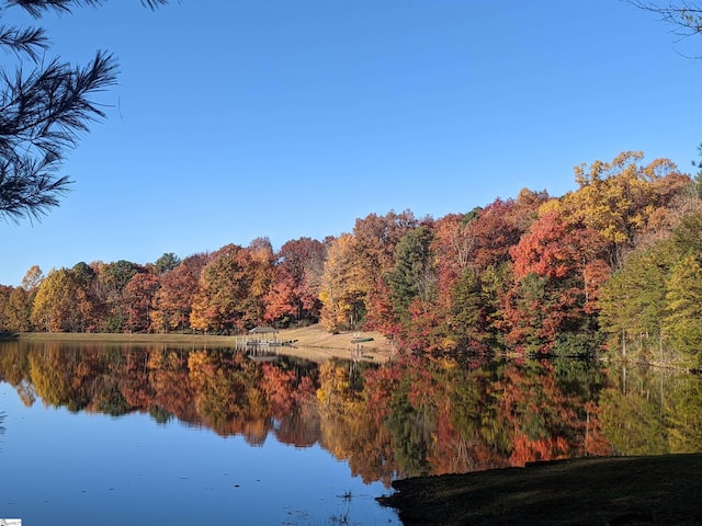 316 Hemlock Trl, Cleveland, SC 29635 - water view with a heavily wooded area