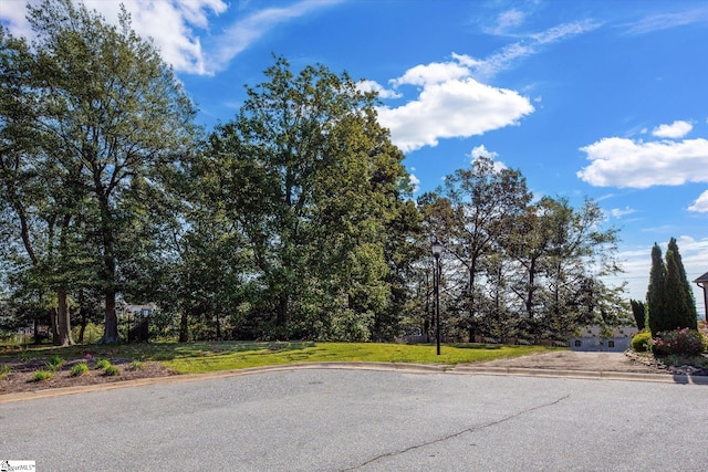 0 Lowther Hall Ln, Greenville SC, 29615 land for sale