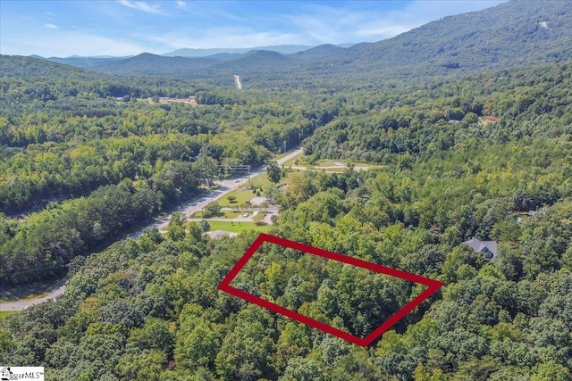 48 Angleblade Way, Landrum, SC 29356