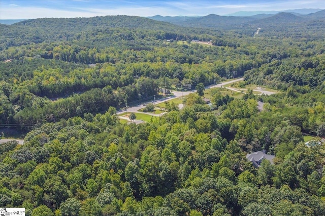 48 Angleblade Way, Landrum, SC 29356