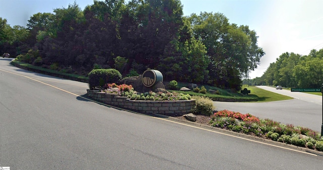 48 Angleblade Way, Landrum, SC 29356