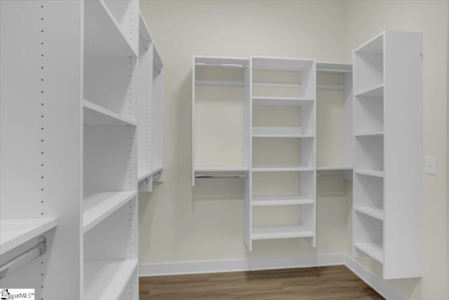 walk in closet with hardwood / wood-style flooring