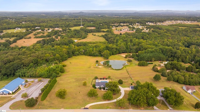 3560 Pelzer Hwy, Easley, SC 29642 - aerial view of a forest and a large body of water