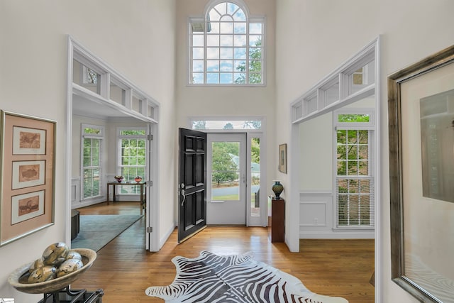 entrance foyer featuring a towering ceiling, light hardwood / wood-style floors, and plenty of natural light