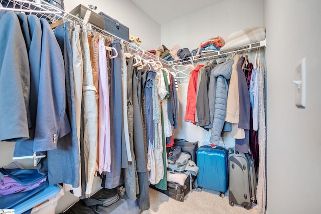 walk in closet with carpet flooring