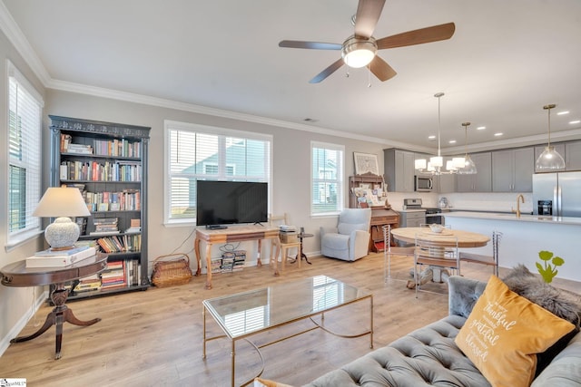 living room with light hardwood / wood-style floors, crown molding, and plenty of natural light