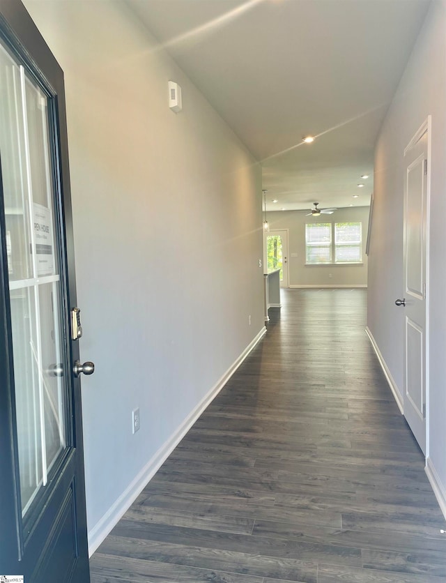 corridor featuring dark hardwood / wood-style flooring