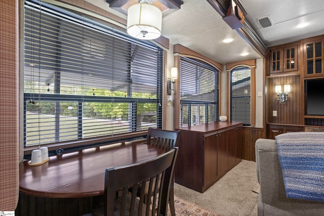 interior space featuring wood walls and plenty of natural light