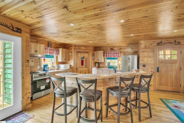 kitchen featuring a healthy amount of sunlight, light wood-type flooring, stainless steel appliances, and wooden walls