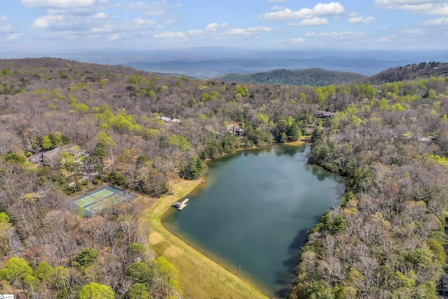 304 Cliff Ridge Dr, Cleveland, SC 29635 - aerial view featuring a water view and a wooded view