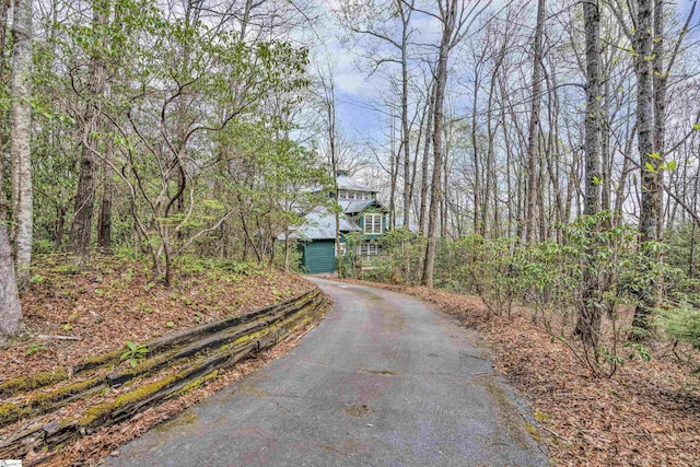 304 Cliff Ridge Dr, Cleveland, SC 29635 - view of road featuring aphalt driveway