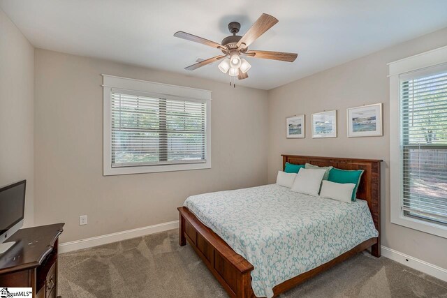 bedroom featuring multiple windows, carpet floors, and ceiling fan