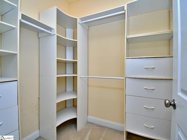 spacious closet featuring light colored carpet