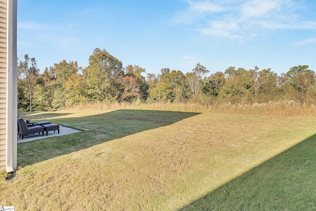 26 Shorncliffe Rd, Simpsonville, SC 29680 - view of yard