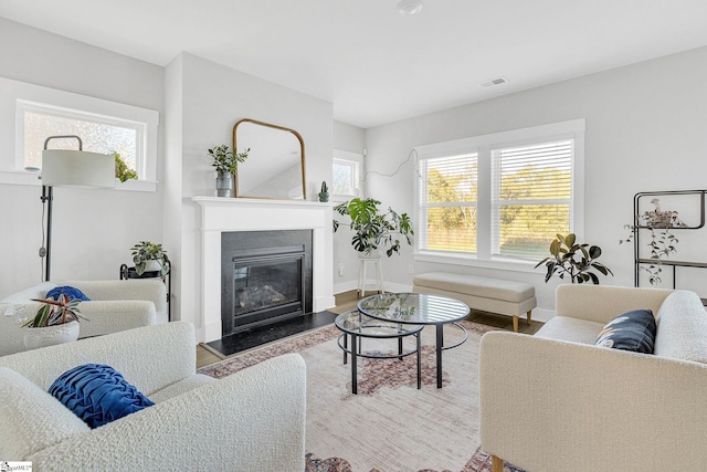 living room with a healthy amount of sunlight and hardwood / wood-style flooring