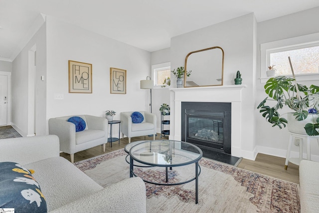 living room with hardwood / wood-style floors