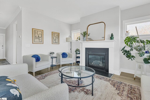 26 Shorncliffe Rd, Simpsonville, SC 29680 - living area featuring a glass covered fireplace, wood finished floors, and baseboards