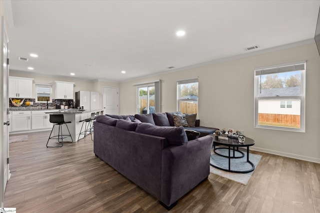 living room with crown molding and wood-type flooring