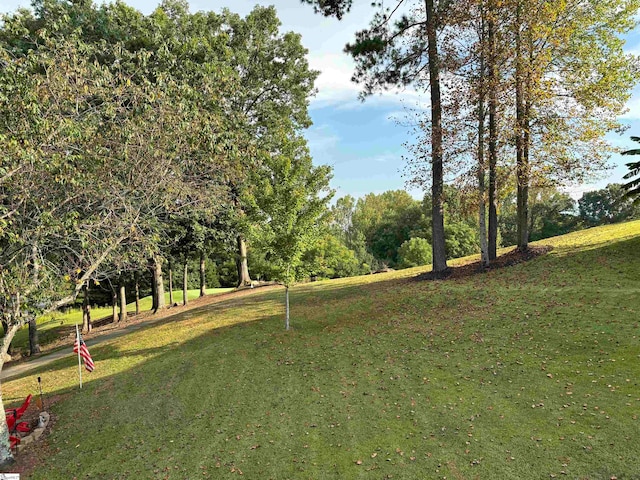 view of property's community with a lawn