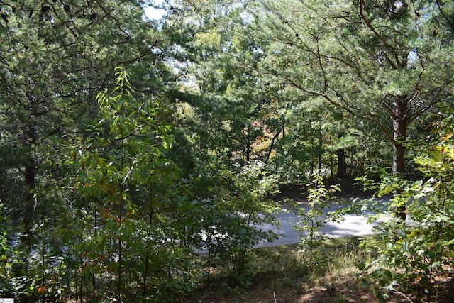 Listing photo 2 for 0 Holland Dr Lot 3, Columbus NC 28722