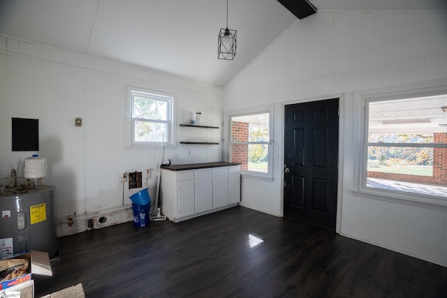 kitchen featuring dark wood-type flooring, vaulted ceiling, a wealth of natural light, and white cabinets