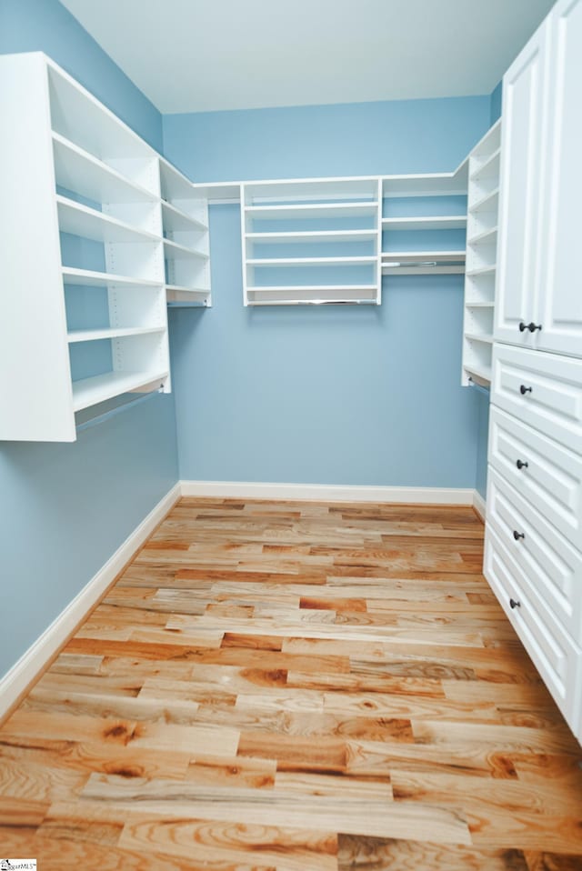 walk in closet with light wood-type flooring