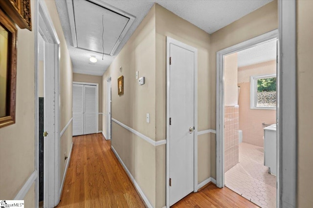 hallway featuring tile walls, light hardwood / wood-style flooring, and a textured ceiling