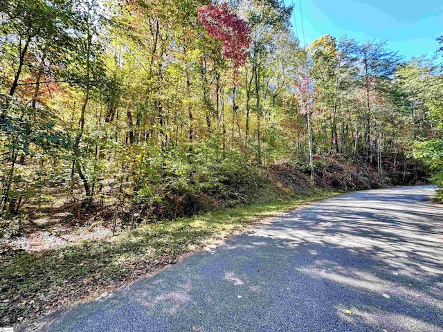 Listing photo 2 for 090 Forest Dr Lot 90, Travelers Rest SC 29690