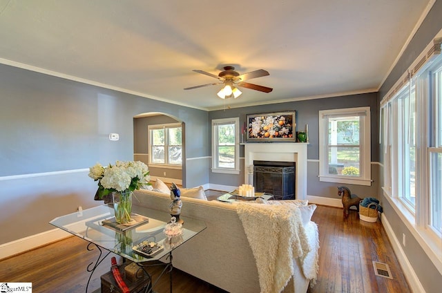 living room with ornamental molding, dark hardwood / wood-style floors, and a healthy amount of sunlight