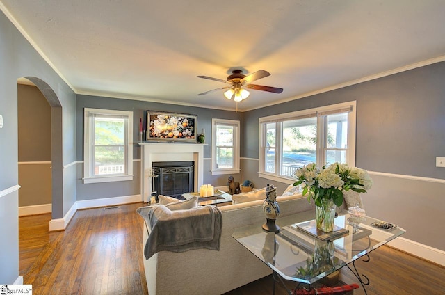 living room featuring ornamental molding, dark wood-type flooring, and plenty of natural light