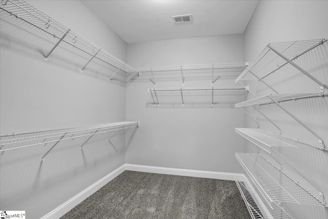 walk in closet with dark carpet