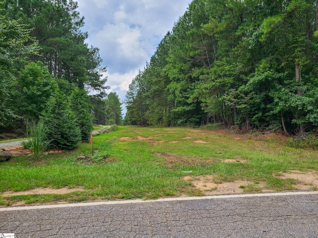 0 Dunklin Bridge Rd Lot 15, Fountain Inn SC, 29644 land for sale