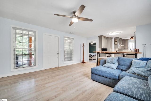 living room with ceiling fan and light hardwood / wood-style flooring