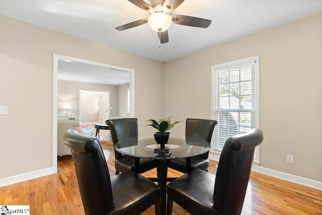 dining area featuring ceiling fan and light wood-type flooring