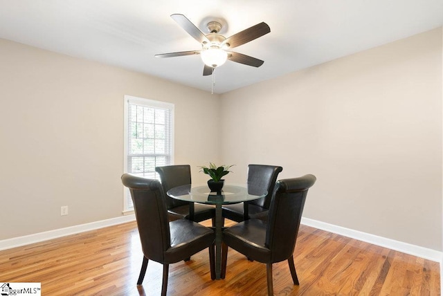 dining area with ceiling fan and light wood-type flooring