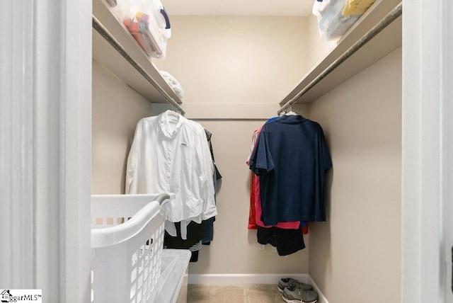 view of spacious closet