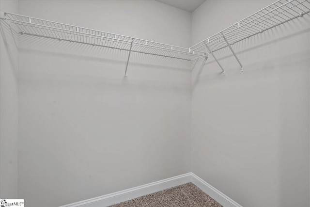 walk in closet with carpet